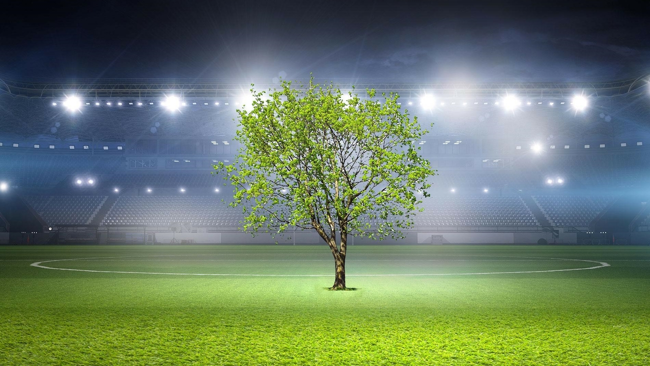 Экологически чистый спорт: зеленые инновации в строительстве спортивных объектов
