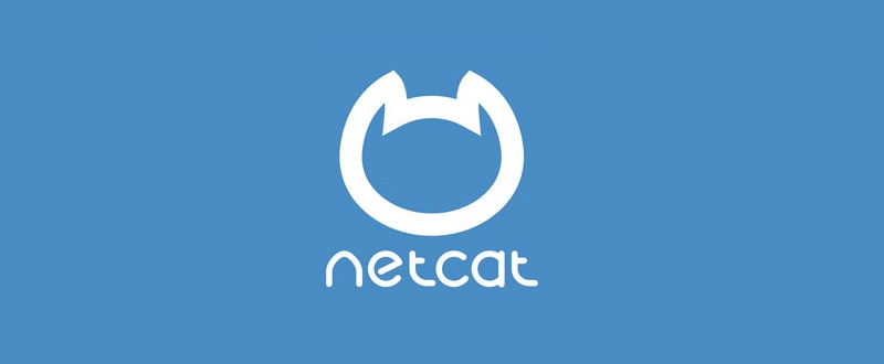 Система управления сайтом CMS NetCat