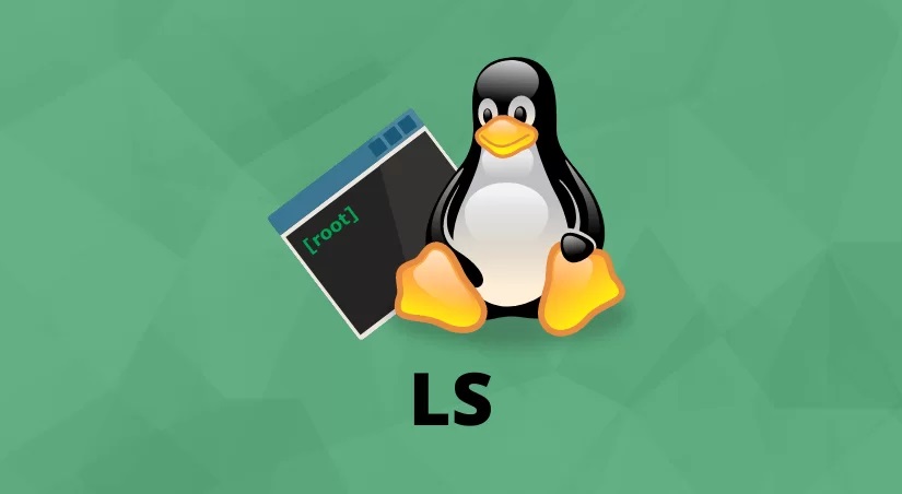 Команда Ls в Linux