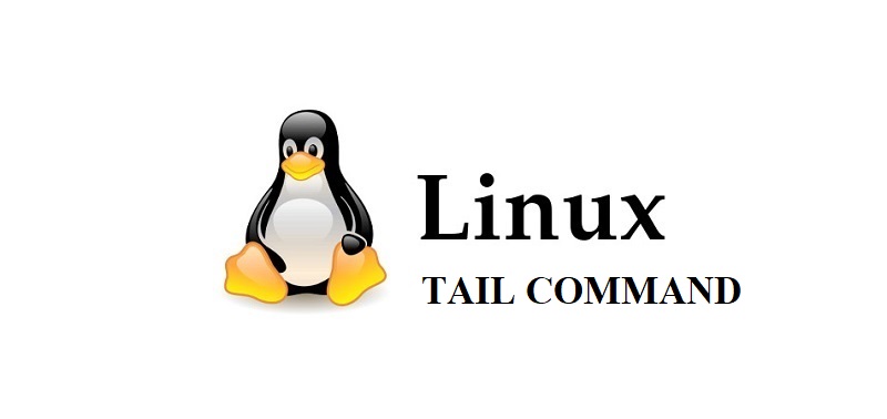 Tail команда в Linux