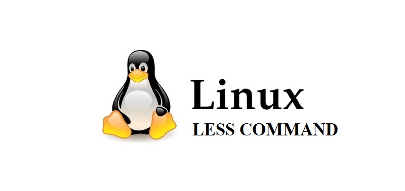 Less команда в Linux