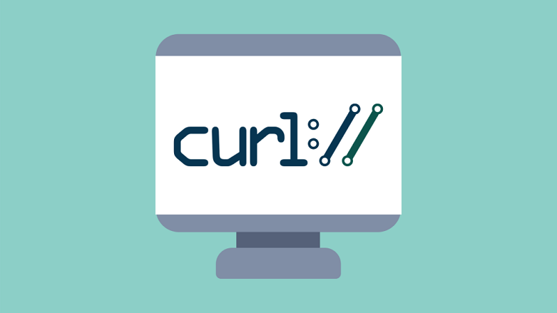 Как установить и использовать Curl в Ubuntu 20.04