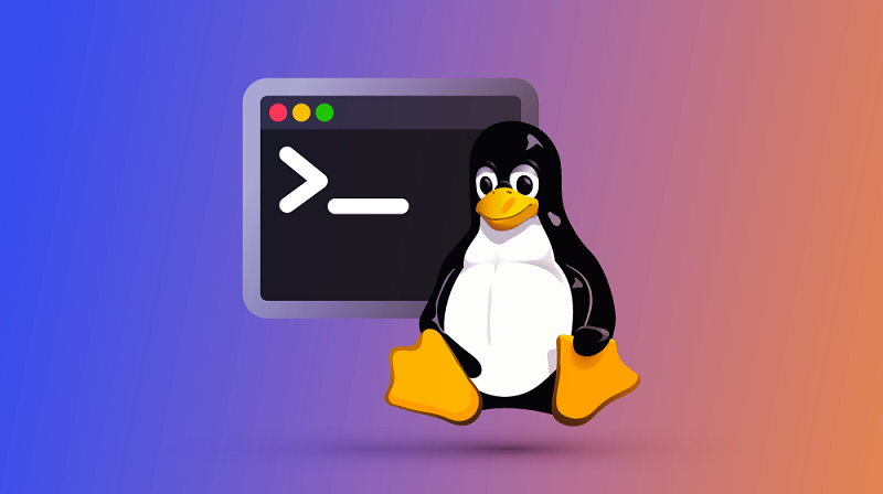 Команда Cd в Linux