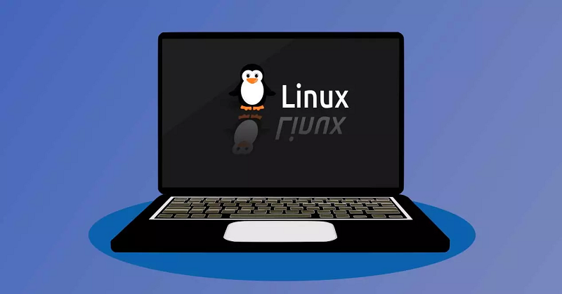Команда last в Linux